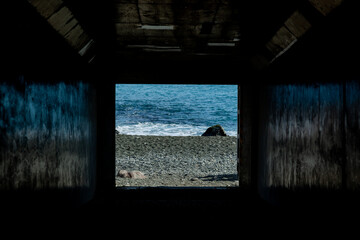 雄大な太平洋の浜辺