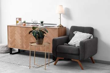 Chest of drawers, armchair and coffee table with houseplant in interior of living room