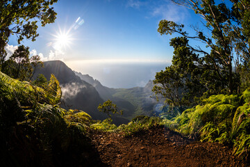 A breathtaking view from the Na Pali Coast lookout, showcasing the steep, green cliffs descending...