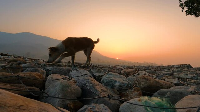 Time-lapse of Sunrise Over Jayanti Hills and River