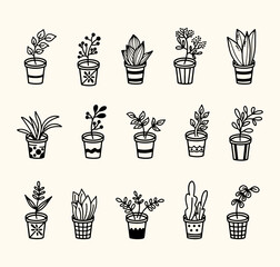 Hand drawn houseplant collection