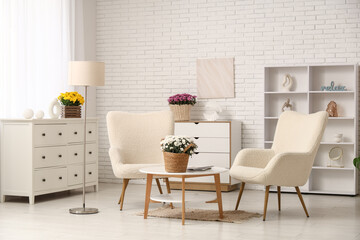 Interior of living room with armchairs, table and chrysanthemum flowers