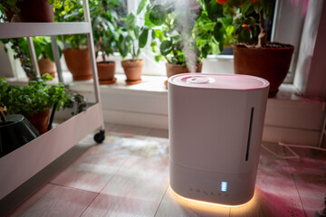 Modern ultrasonic air humidifier stand on the floor near window and potted plants and flowers, spraying water steam. Humidifying air at home around houseplants during heating period. 