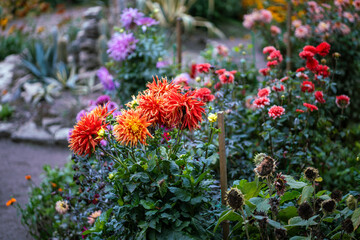 Dahlias, water lilies and sunflowers growing in floral diversity within botanical garden or park. Nature palette, seasonal beauty, landscape ornamental plants, biodiversity and lush plant life