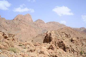 landscape in the desert