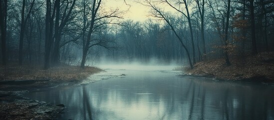 Fototapeta premium A mystical forest river shrouded in mist.