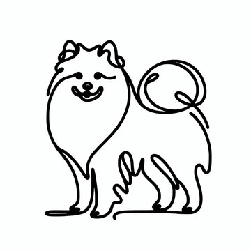 Japanese spitz dog continuous line silhouette vector illustration