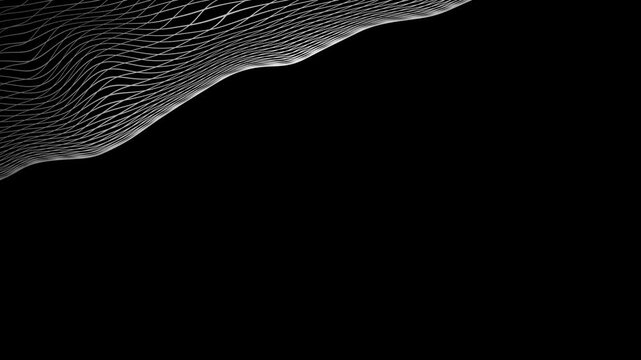 White Grey abstract curved wavy smooth lines on black background. Futuristic minimal black and white motion design. Video animation Ultra HD 4K 3840x2160