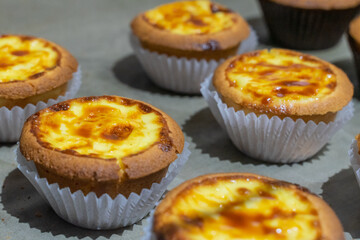 the irresistible allure of freshly baked egg tarts, their golden, flaky crusts perfectly crisp and their creamy custard filling gleaming under the light.