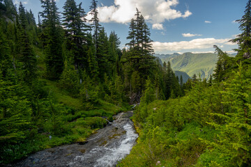 Unknown Creek Rushes Downhill Through Spray Park In Mount Rainier