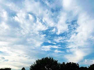 雲の多い空と木々のシルエット