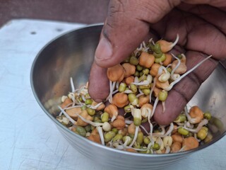 Sprouted grams and mung beans are nutrient-rich, crunchy legumes high in protein, fiber, vitamins,...