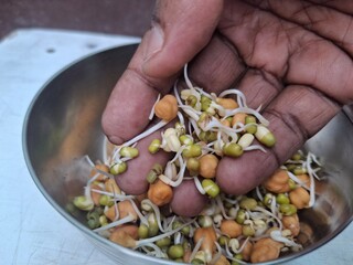 Sprouted grams and mung beans are nutrient-rich, crunchy legumes high in protein, fiber, vitamins, and antioxidants, ideal for healthy salads