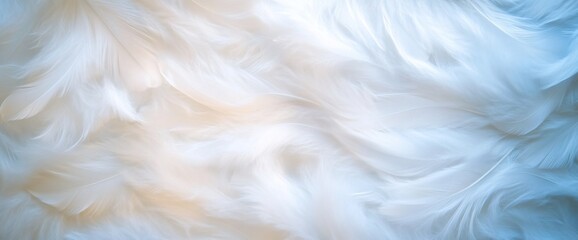 Obraz premium Soft, flowing white and blue feathers background texture.