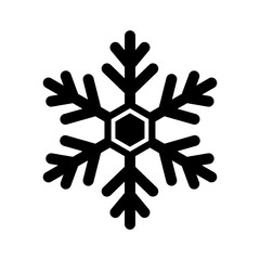 snowflake winter solid icon