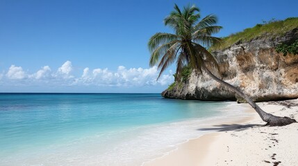 Fototapeta premium A serene beach scene with a palm tree and calm turquoise waters under a clear blue sky.