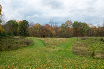 Naklejka premium A serene landscape featuring vibrant autumn foliage in a grassy valley with overcast skies in a rural setting during the fall season