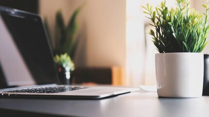 Fototapeta premium Minimalist workspace with a laptop, white vase, and green plant on a gray desk
