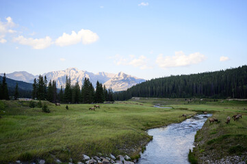 river in mountain