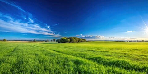 Obraz premium A vibrant green field stretches under a brilliant summer sky, showcasing the beauty of nature's simple elegance