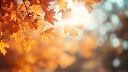 Fototapeta premium Golden Autumn Leaves