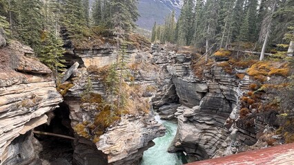 waterfall in park