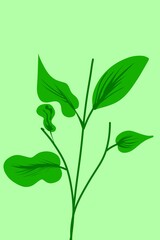 illustration of a plant
