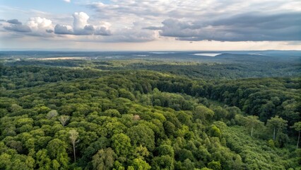 Obraz premium An expansive aerial view of a verdant forest canopy stretching to a distant horizon under a partly cloudy sky