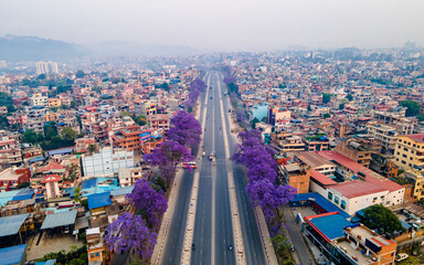 aerial view of the blossom Jacaranda tree in highway Lalitpur, Nepal. 