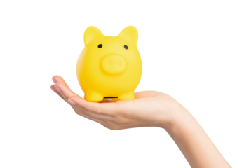 Hand holding yellow piggy bank for saving money on white background.