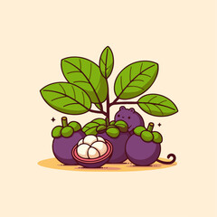 illustration of mangosteen fruit