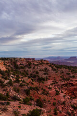 Scenic Utah Desert Landscape With Red Rocks and Vast Horizon
