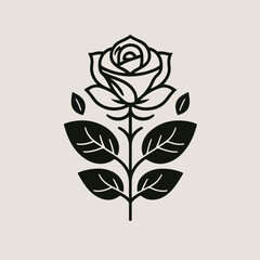 Illustration of rose flower