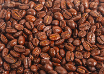 Full screen view, close up of a collection of roasted coffee beans, for background, illustration and pattern design.