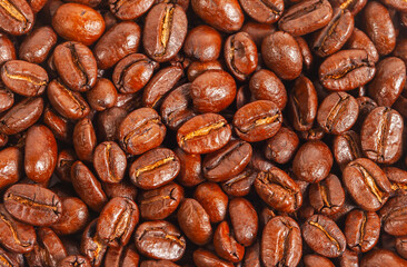 Full screen view, close up of a collection of roasted coffee beans, for background, illustration and pattern design.