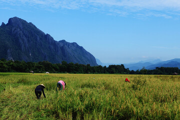 라오스 방비엥 풍경