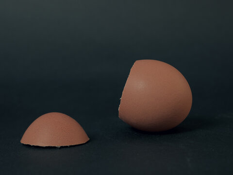an egg cut off exactly