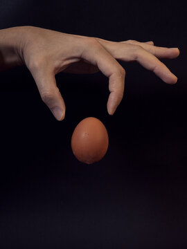 The egg falls out of the hands, the free fall of the egg