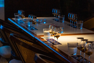 Wine tasting meeting scene goblet close-up