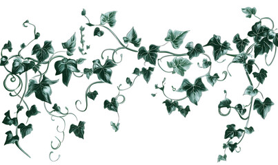 modern 2D doodle cartoon flower concept with open space for text, featuring whimsical floral and leafy elements on crisp white backgrounds.