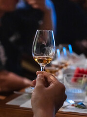 Wine tasting meeting scene goblet close-up