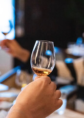 Wine tasting meeting scene goblet close-up