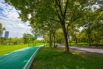Green bike lane track exercise in city public park sunny day