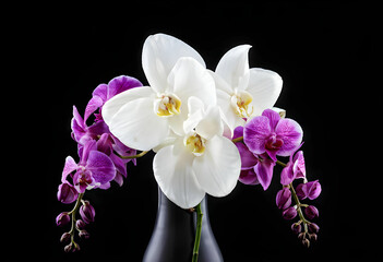 Vibrant white coloured orchid flowers