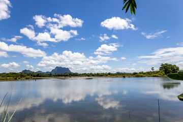 Beautiful natural scenery with natural rainwater flooding the rice fields, clear water, trees all around, clear sky, and beautiful reflections on the water's surface. This photo was taken in Myanmar.