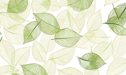 modern 2D doodle cartoon flower concept with open space for text, featuring whimsical floral and leafy elements on crisp white backgrounds.