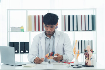 Dedicated Doctor:  A focused medical professional meticulously examines a model of the human heart in a well-lit office setting.