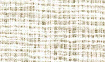 A smooth, plain white canvas offering timeless simplicity and elegance