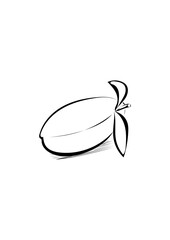 Pflaume 