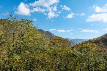 紅葉真っ盛りの群馬県の山々